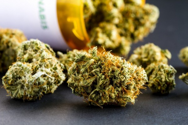 medical-marijuana-pot-2.jpg