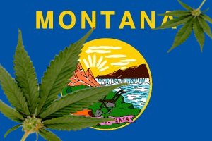 montana-marijuana.jpg