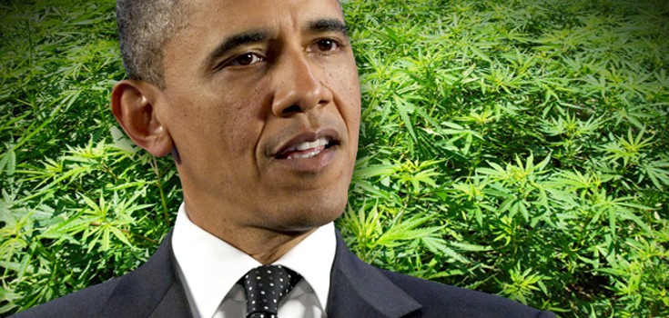 obama_marijuana_Background_735_350-735x350.jpg