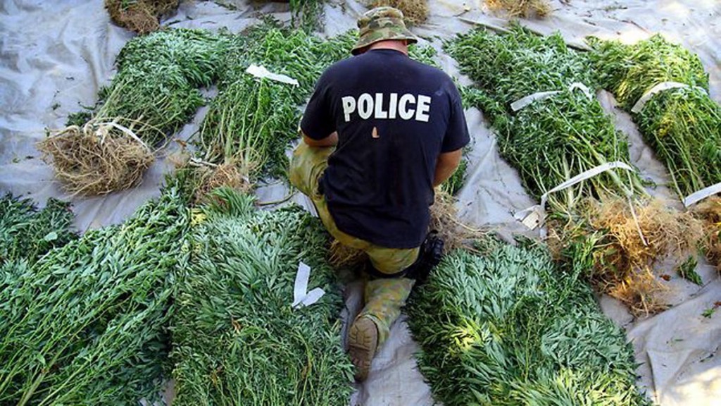 police-drug-raid-cannabis.jpg