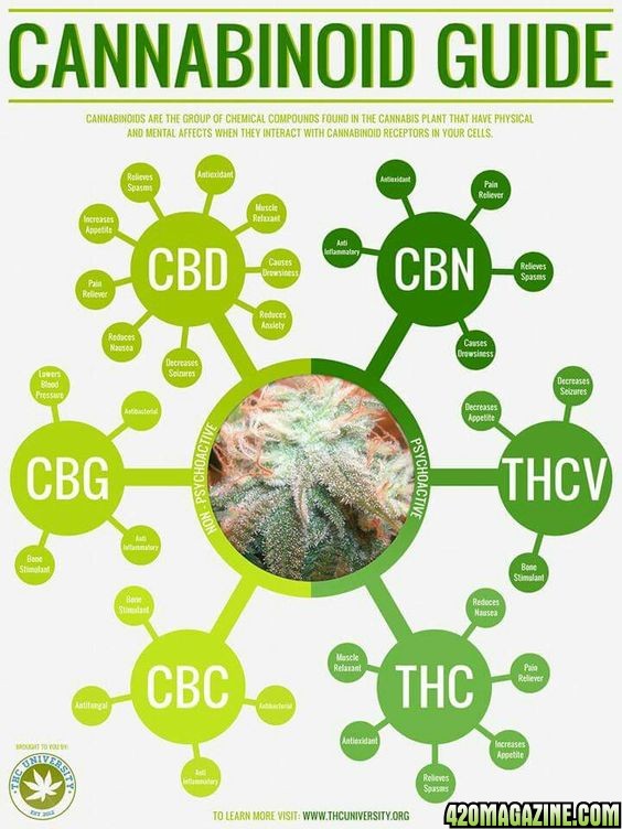 Cannabinoid_Infographic.jpg