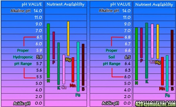 Nutrient_Availability_chart1.JPG