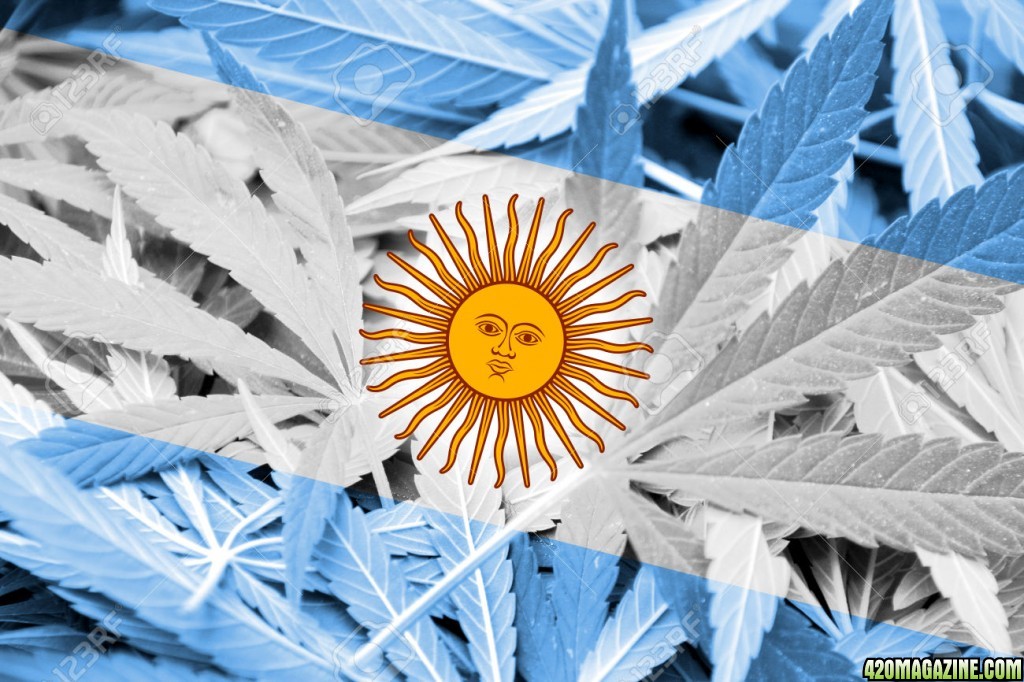 37627030-Bandera-de-Argentina-en-el-fondo-de-cannabis-La-pol-tica-de-drogas-La-legalizaci-n-de-la-marihuana-Foto-de-archivo.jpg