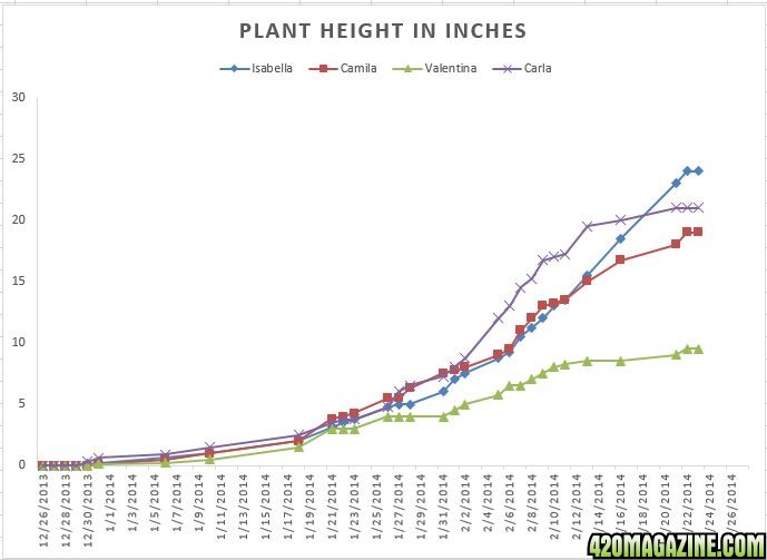 20140305-plant_height.JPG