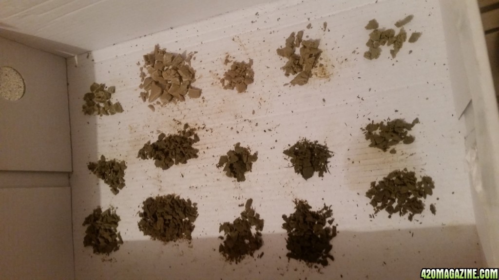 Bubble Hash Pics And Questions 420 Magazine 