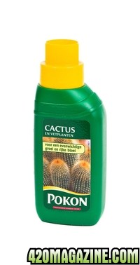 288_pokon-cactus-en-vetplanten-250-ml-lr_full.jpg