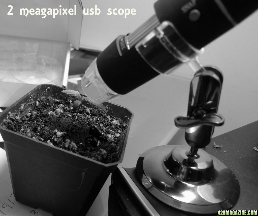 2_megapixel_usb_scope.jpg
