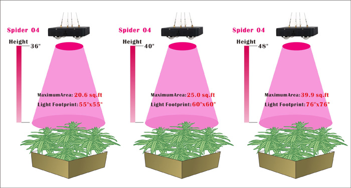 432w_Spider_COB_LED_grow_light_Coverage_Area.png