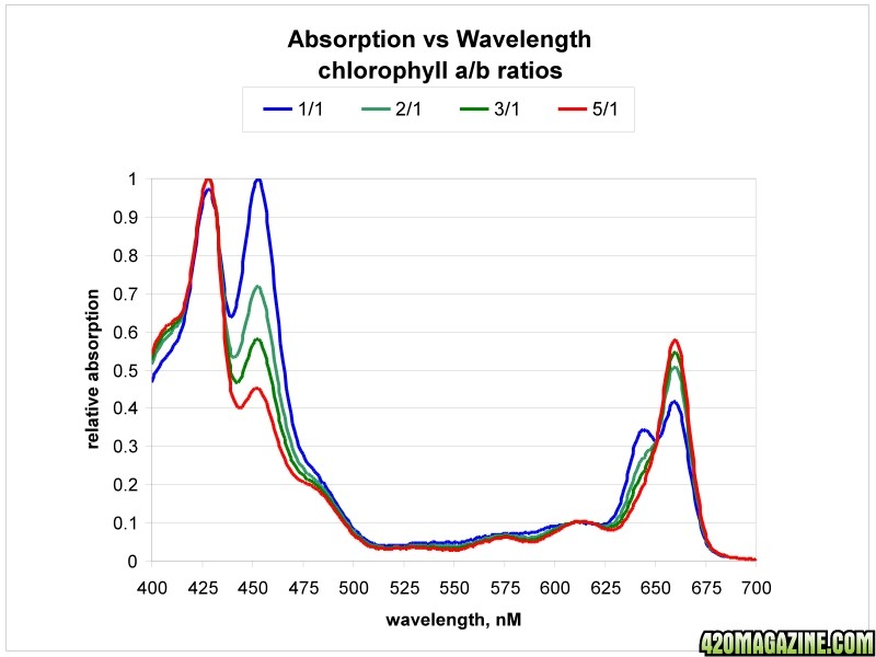 Absorption_and_chlorophyll_ratios.jpg