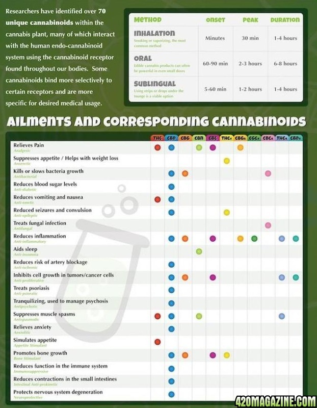 Ailments_and_Corresponding_Cannabinoids.jpg