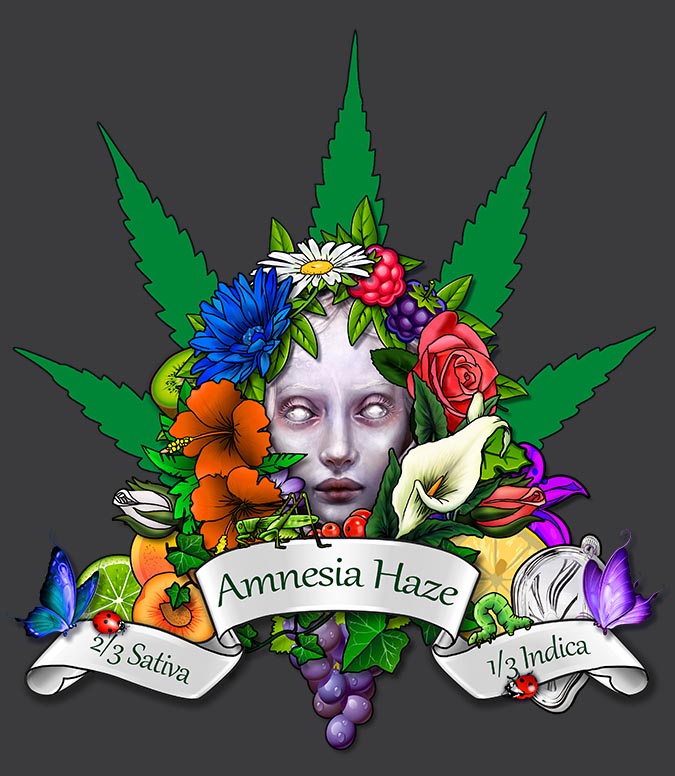 Amnesia_Haze_RGB_Small.jpg