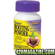 Bonide_Fertilizer_Rooting_Powder.jpg