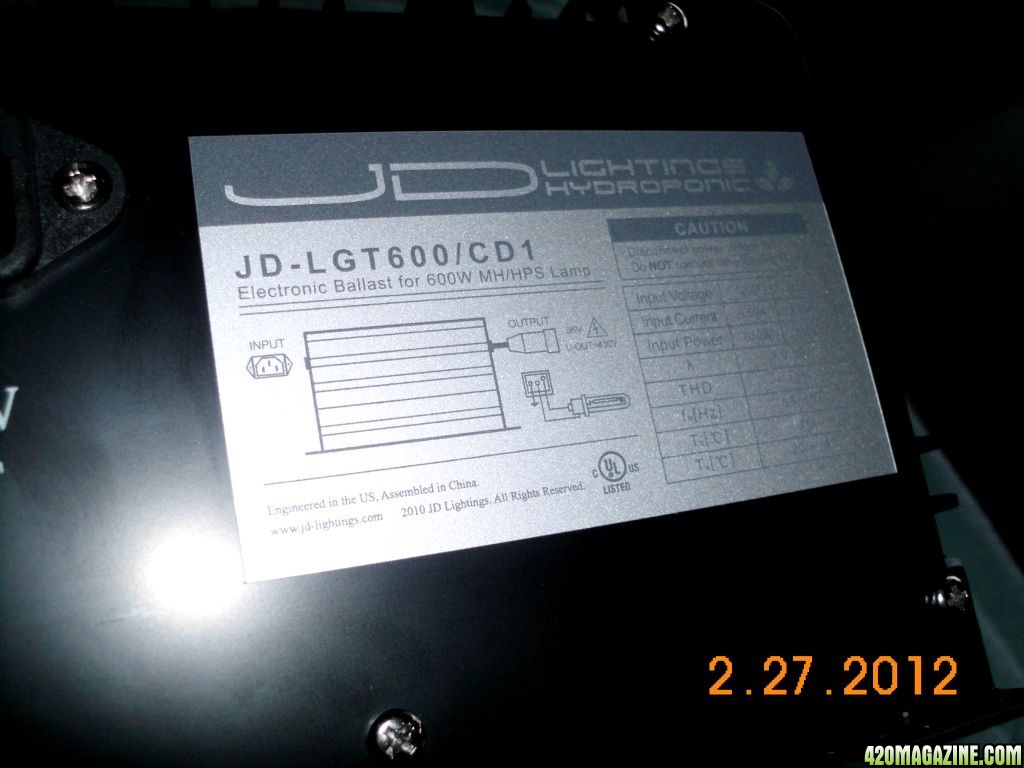 DSCI0838.JPG