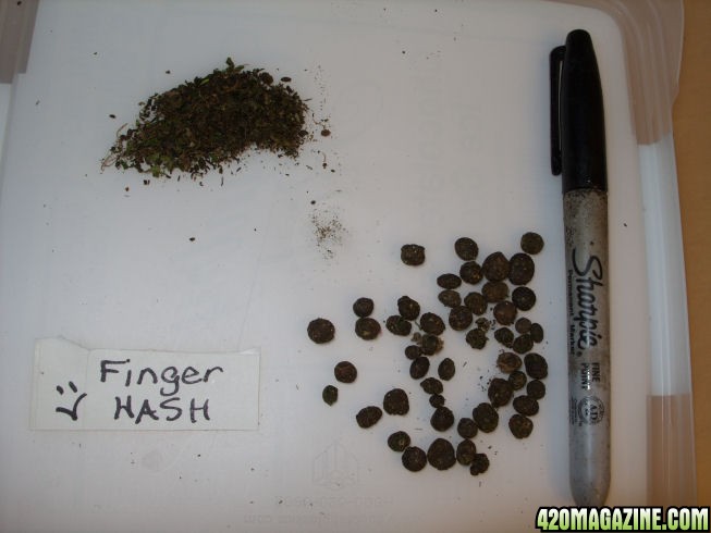 Dried-FingerHash.jpg