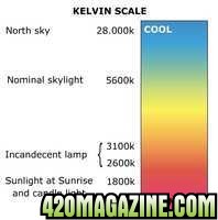 Kelvin_scale.jpg
