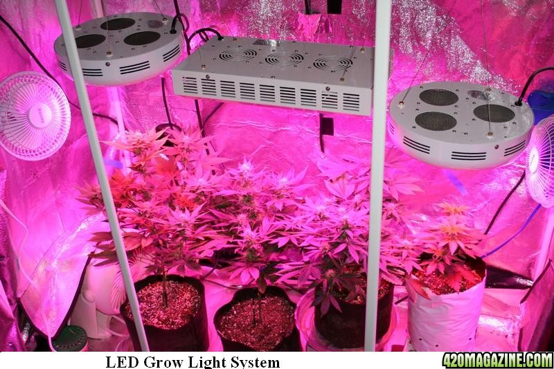 LED_grow_light_system.jpg