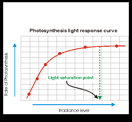 Light_Saturation_Response_Curve.png