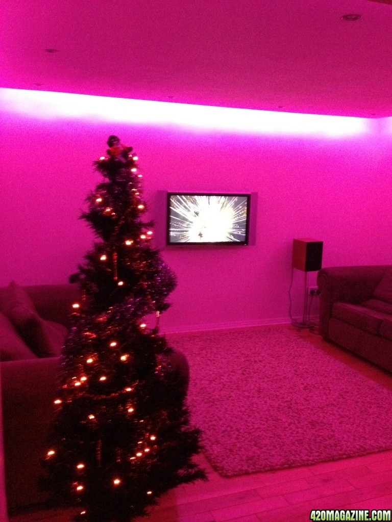 Lounge_Christmas.jpg