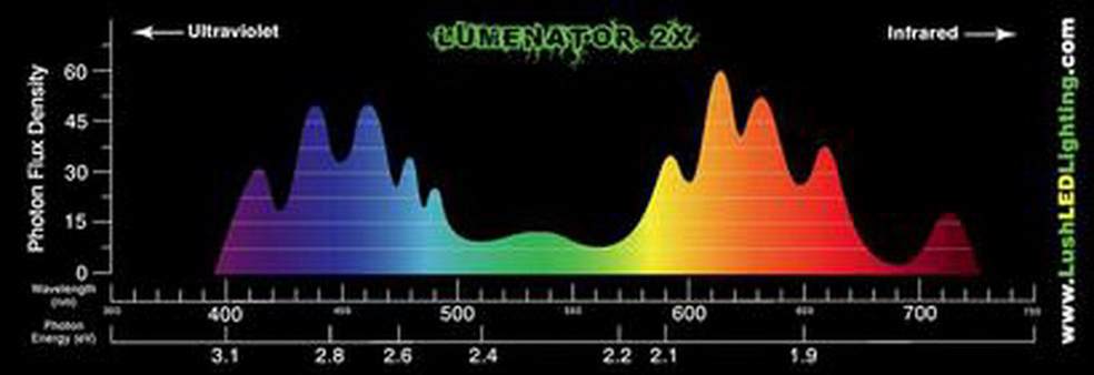 Lumenator_2x_Color_Spectrum_Chart_Graph_plant_photosynthesis_light_absorb.png