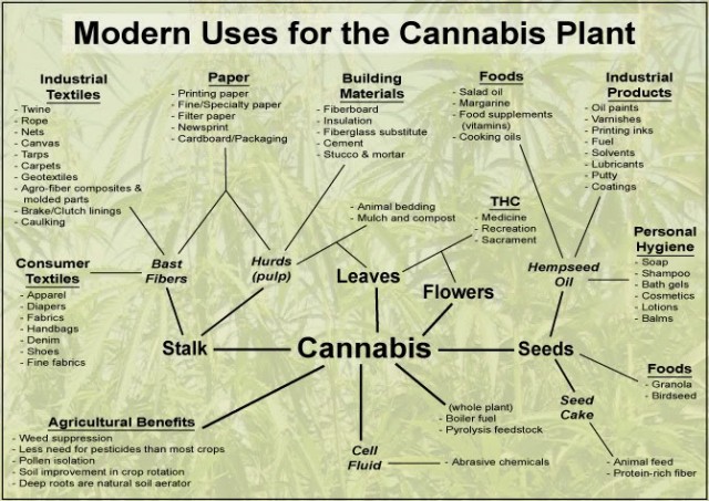 Modern-uses-for-cannabis-Chart3-640x453.jpg