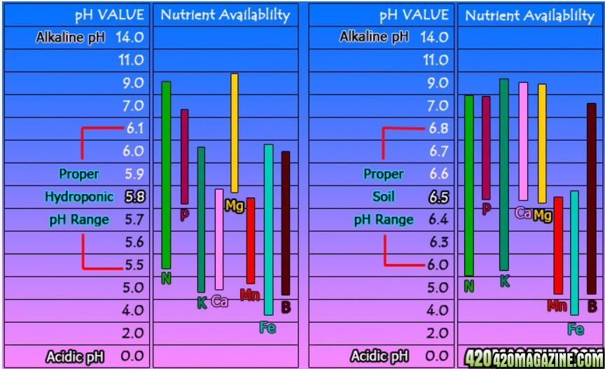 Nutrient_Availability_chart.JPG