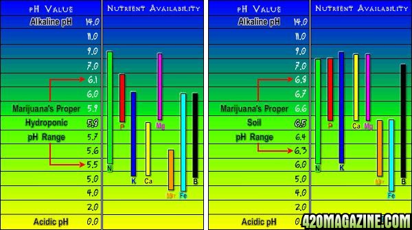 Nutrient_Chart_-_Soil_Hydro.jpg