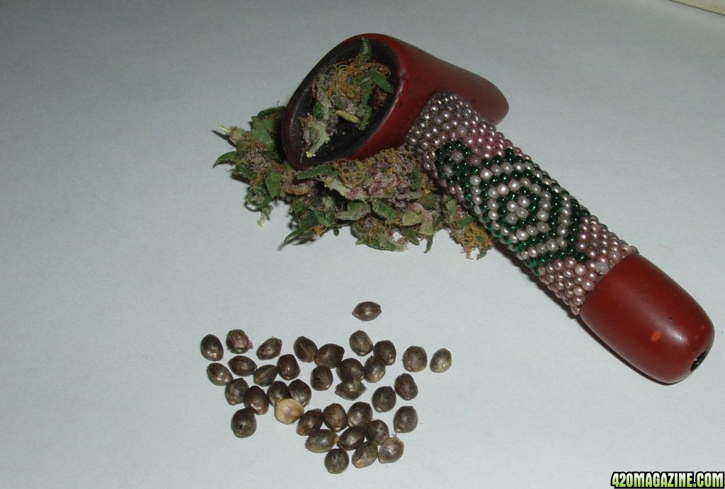 Pipe-seeds-n-smoke.jpg