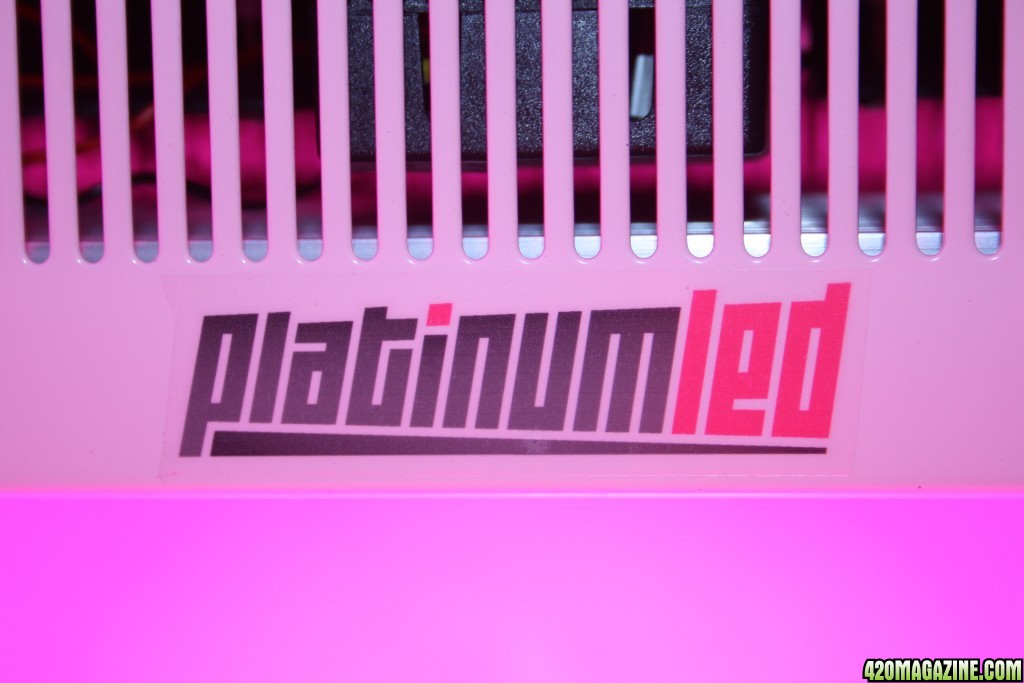 PlatinumLED.JPG