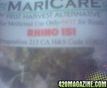 Rhino151.jpg