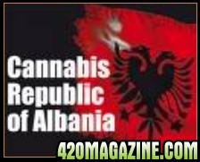 Αποτέλεσμα εικόνας για drugs in Albania