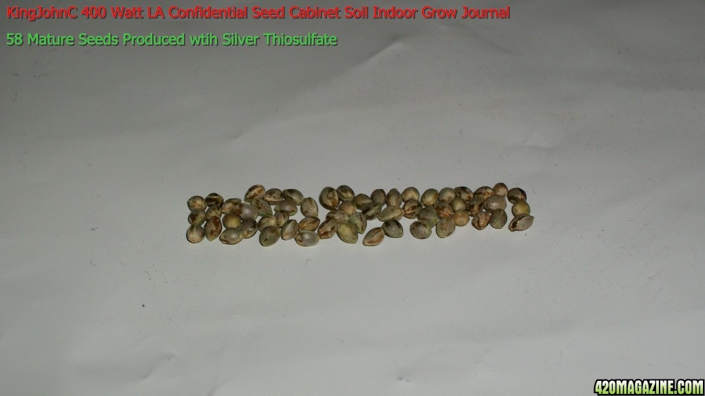 Seed_Cabinet_LA_Confidential_11-02-2013_58_Mature_Seeds_Produced_with_Silver_Thiosulfate.jpg