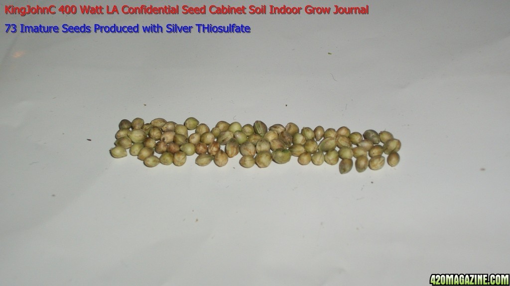 Seed_Cabinet_LA_Confidential_11-02-2013_73_Immature_Seeds_Produced_with_Silver_Thiosulfate.jpg