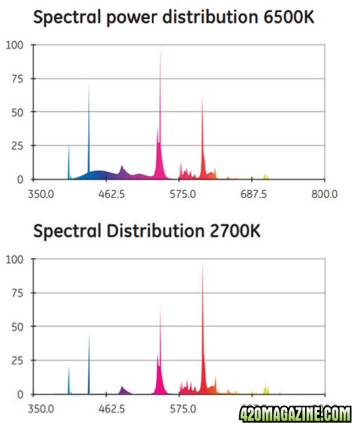Spectral-1.jpg