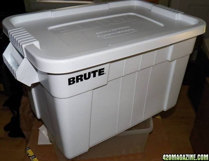 The_New_Brute_Grow_Box.JPG
