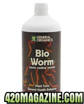 bioworm.jpg
