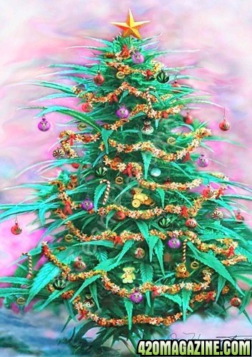 christmas_tree_bud.jpg
