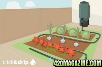 click_drip_plant_watering_kits_for_waterbutts_-_plant_watering_systems.jpg
