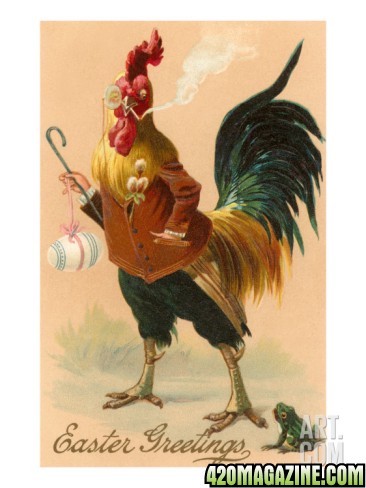 easter-greetings-rooster-smoking_i-G-37-3771-C3QZF00Z.jpg