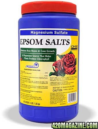 epsom-salts-lg.jpg