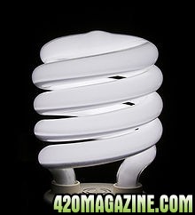 inCompact-Fluorescent-Bulb.jpg