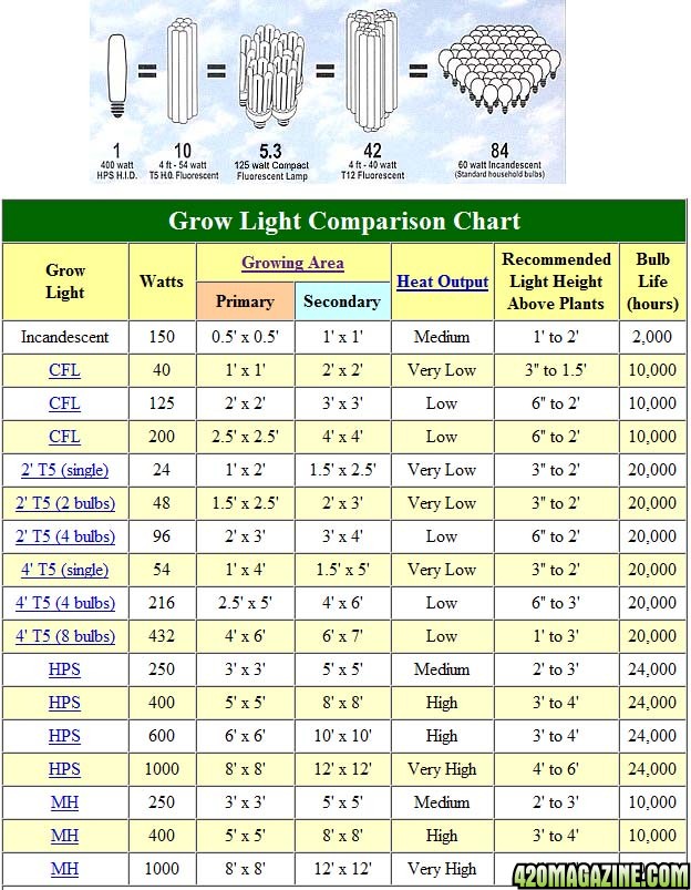 light_chart.jpg