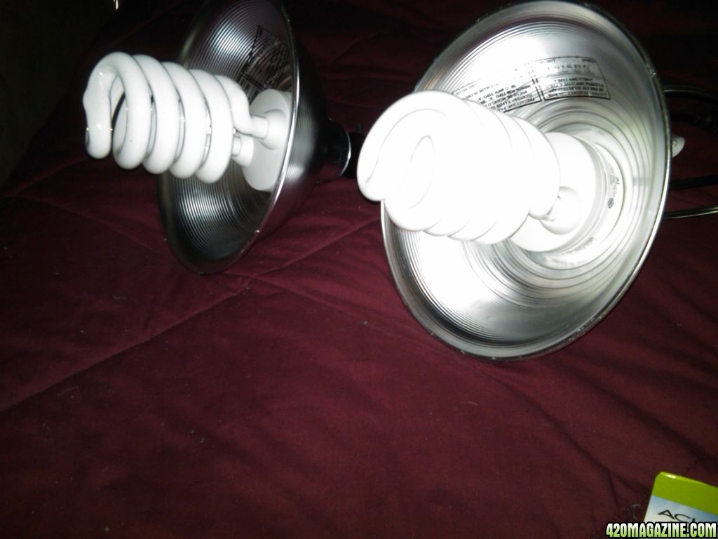 lites_in_reflector_dishes.jpg
