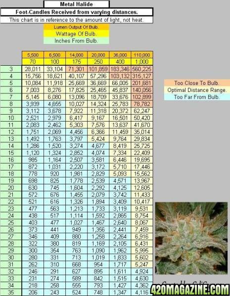 marijuana_chart.jpg