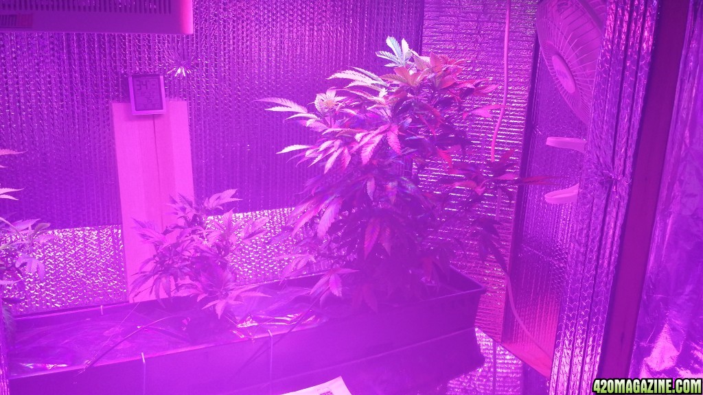 more_LST_day2_-_4_Richtone_HDR_.jpg