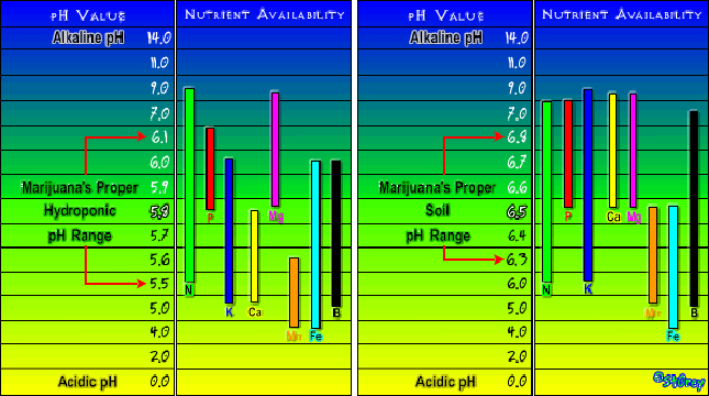 nutrient_chart_4542.gif