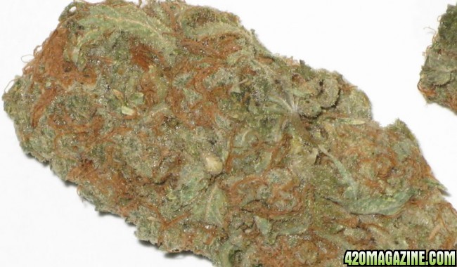 orange_krush_cannabis-650x380_1_.jpg