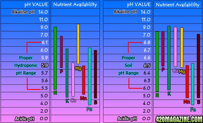 pH_chart10.jpg