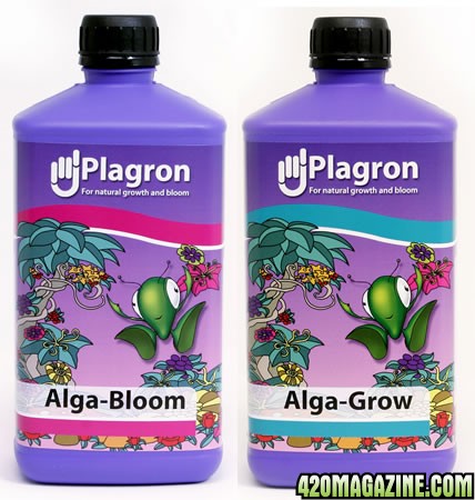 plagron-alga-grow-250ml-359-p.jpg