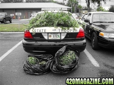 police_marijuana.jpg