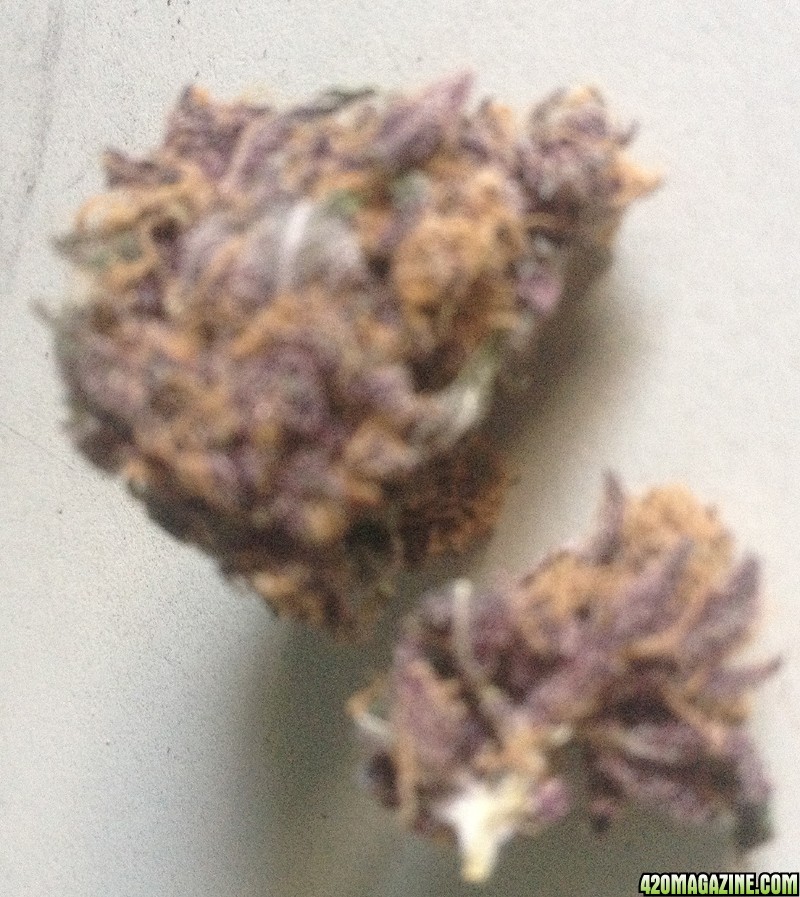 purple_treat.jpg